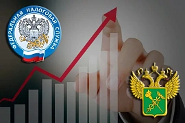 ФТС планирует усилить контроль за ВЭД с помощью данных налоговой службы